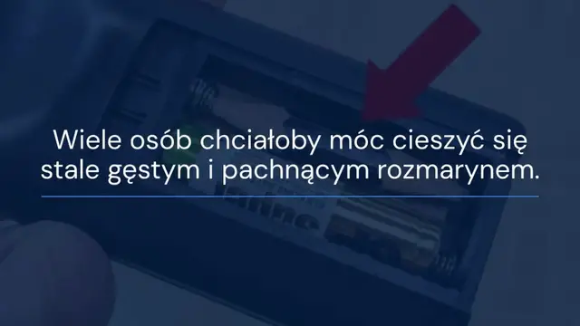 'Video thumbnail for Oto 5 rzeczy do zrobienia, jeśli chcesz, aby rozmaryn był zawsze gęsty i pachnący'