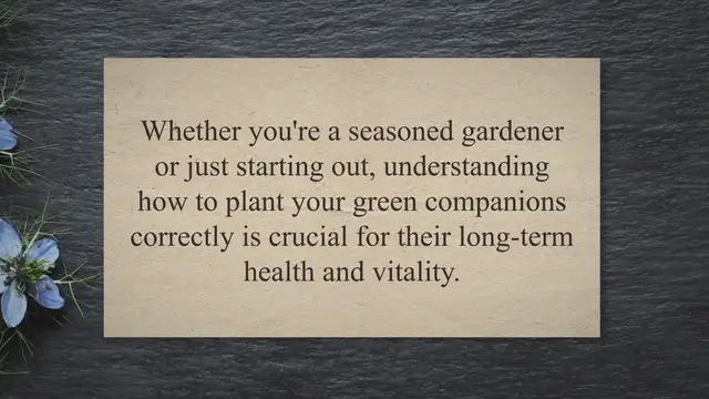 'Video thumbnail for Root Ball Woes: Saving Your Struggling Plant with Proper Planting Techniques'