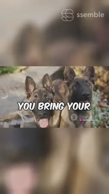 'Video thumbnail for Puppy Care Guide'