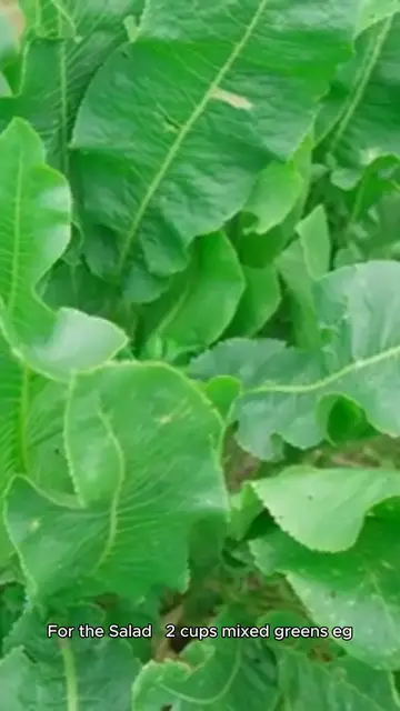 'Video thumbnail for Salmon Grains & Greens Salad'