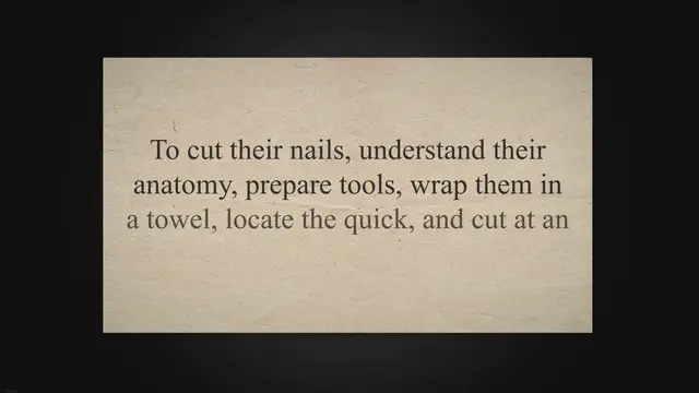 'Video thumbnail for How to Cut Rabbit Nails? Rabbit Guide 2023'