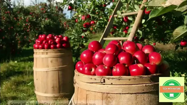 'Video thumbnail for Need for Organic Farming in India | @techwithnature #vlog'