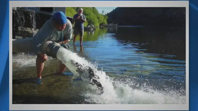'Video thumbnail for Best Trout Bait For Stocked Trout'