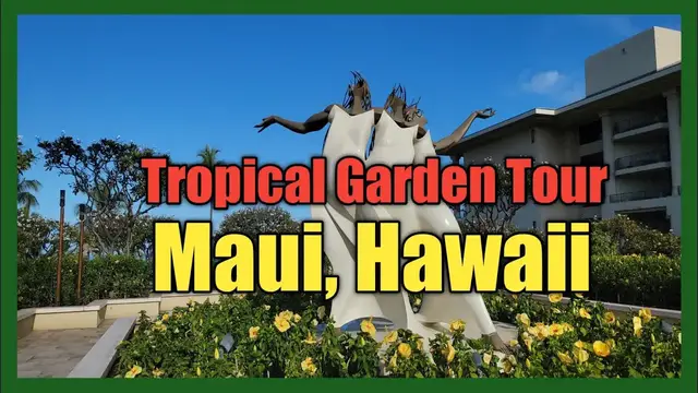 'Video thumbnail for Garden tour of Four Seasons Resort Maui Hawaii,Tropical Garden, things to do , vlog Wailea Maui'