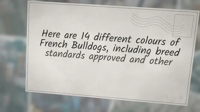 'Video thumbnail for 14 Rare & Standard French Bulldog Colours Explained [With Pictures]'