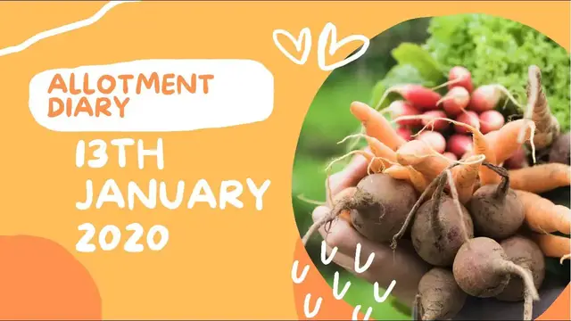 'Video thumbnail for Allotment and Gardening Diary January 13 2020 Winter Tasks and Planning'