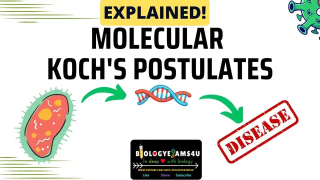 'Video thumbnail for Molecular Koch's Postulates Explained with an Example'