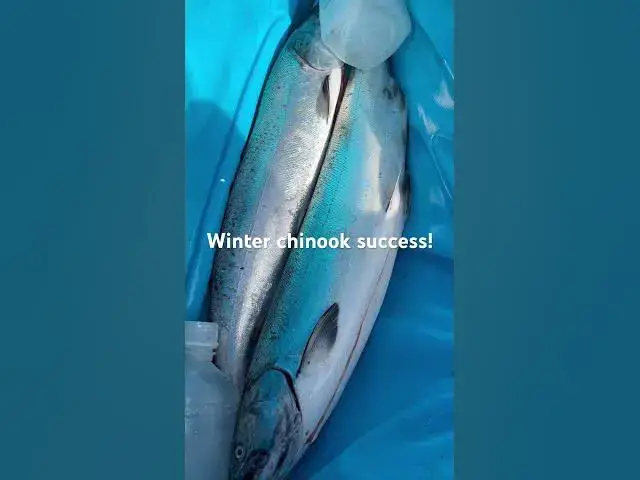 'Video thumbnail for Do you run your boat all winter? Winter chinook is often the reward!'