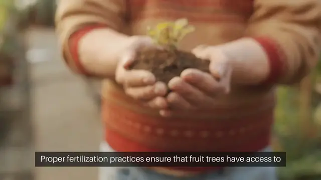 'Video thumbnail for Feeding Fruit Trees'