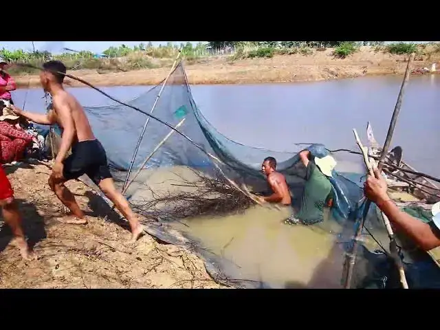 'Video thumbnail for Input netcast to store fish catch it'
