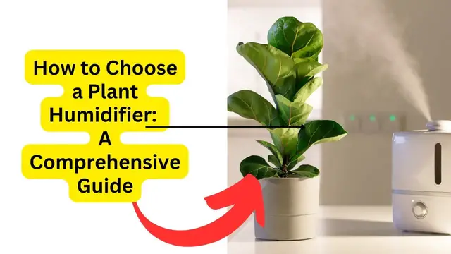 'Video thumbnail for How to Choose a Plant Humidifier  A Comprehensive Guide'