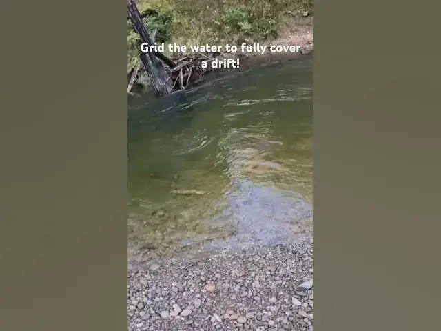 'Video thumbnail for Grid the water to fully cover a drift - Chinook salmon from November'