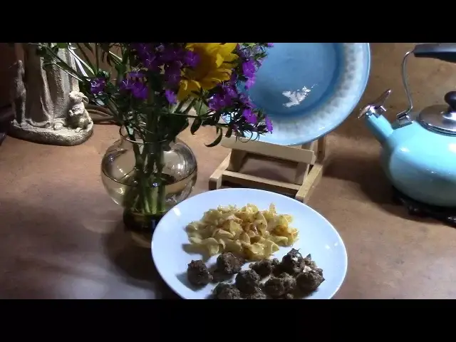 'Video thumbnail for Swedish Meatballs and Noodles Romanoff'