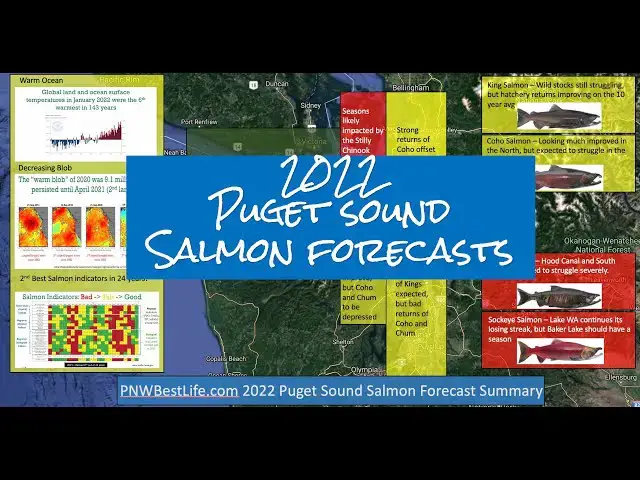 'Video thumbnail for Puget Sound Salmon Forecasts 2022'