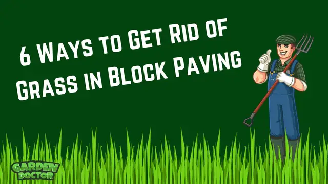 'Video thumbnail for 6 Ways How to Get Rid of Grass in Block Paving'