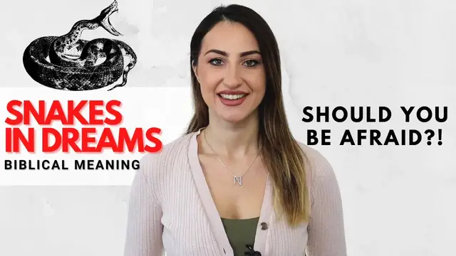 'Video thumbnail for Dreams About Snakes - Should You Be Afraid?!'