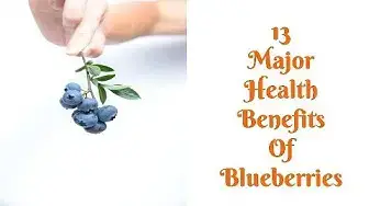 'Video thumbnail for 13 Major Health Benefits of Blueberries'