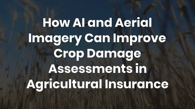 'Video thumbnail for How AI and aerial imagery can improve damage assessments in agricultural insurance'