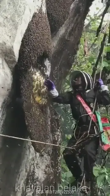 'Video thumbnail for Nature work'