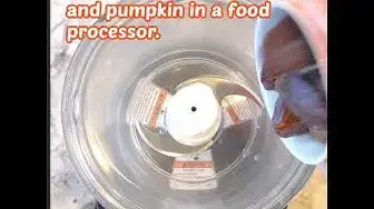 'Video thumbnail for AIP Paleo Pumpkin Cranberry Cookie Dough Balls'