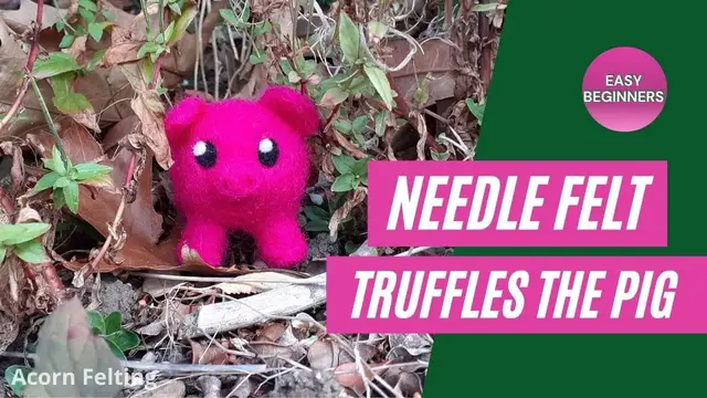 'Video thumbnail for How To Needle Felt A Pig'