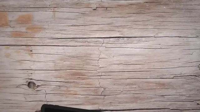 'Video thumbnail for Why Cat Zoomies Happens & What You Can Do?'