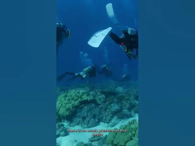 'Video thumbnail for Exploring the Mysterious Depths of the Mariana Trench: Beyond Pearls and Gold'