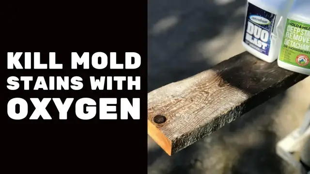 'Video thumbnail for Kill Mold Stains with Oxygen'
