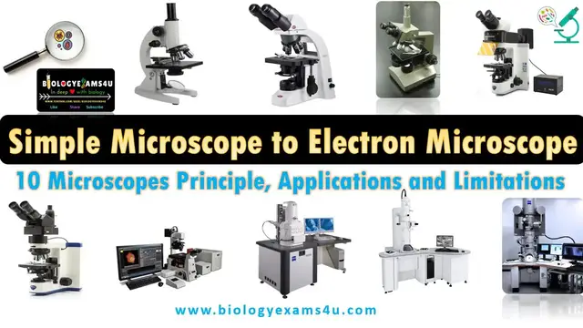 'Video thumbnail for 10 Types of Microscope|| Simple to Electron Microscope Quick Revision'