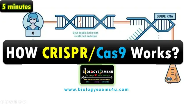 'Video thumbnail for How CRISPR/Cas9 works to edit genes? || Simple Step by Step Explanation with example in 5 minutes'