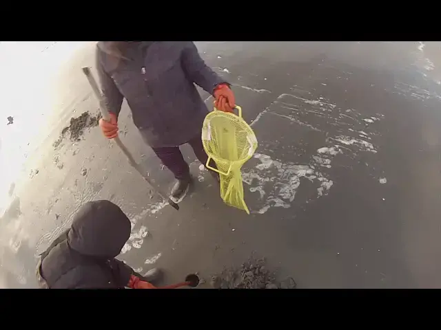 'Video thumbnail for Razor clam dig Feb 2019'