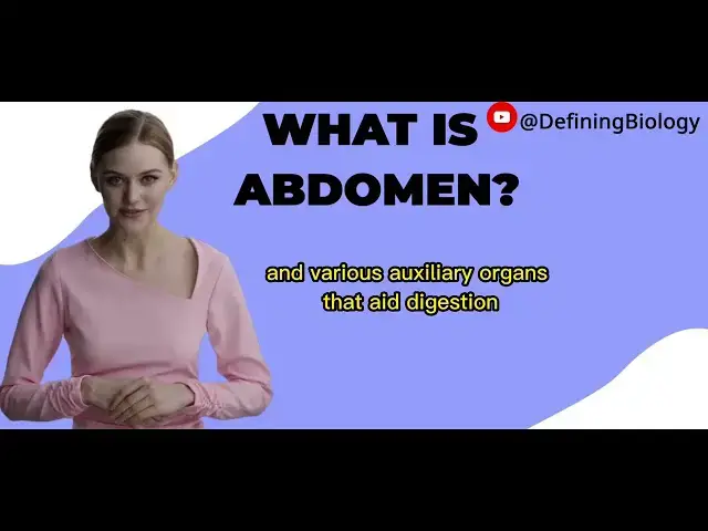 'Video thumbnail for What Is The Abdomen Definition'