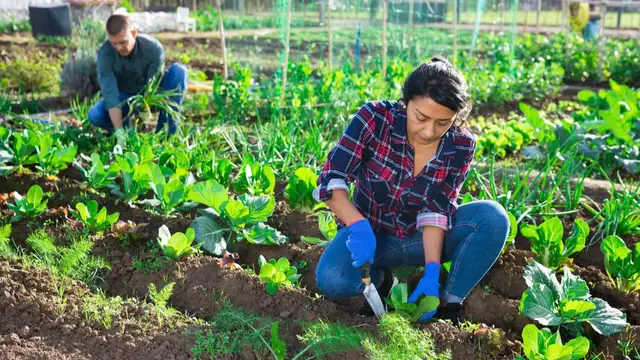 'Video thumbnail for A Brief Introduction To Permaculture Farming'