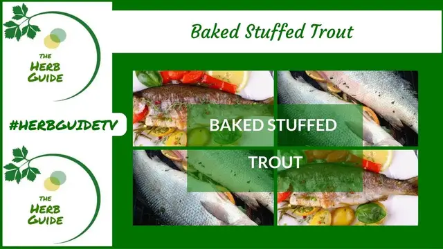 'Video thumbnail for Baked Stuffed Trout'