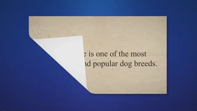 'Video thumbnail for Why do Beagles Change Color?'