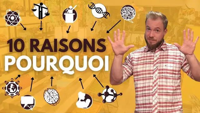 'Video thumbnail for Les Principales Causes de la Phobie Sociale (Trouble d'Anxiété Sociale)'