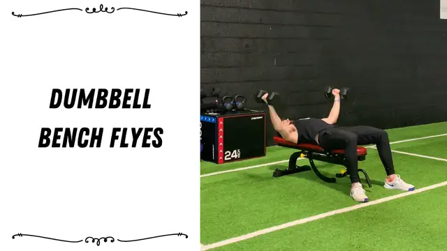 'Video thumbnail for Dumbbell Bench Fly'