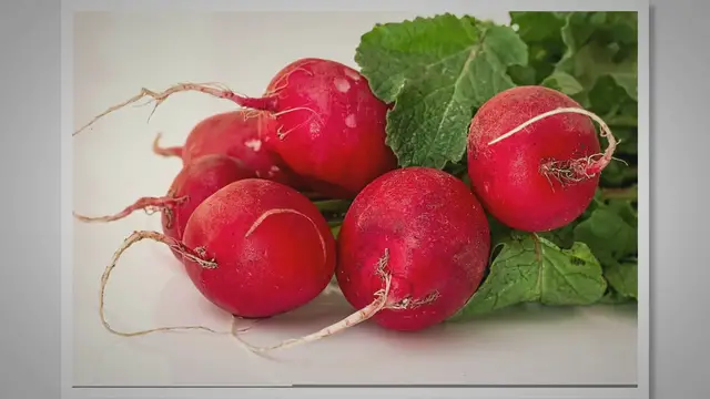 'Video thumbnail for Why Is My Radish Bitter?'