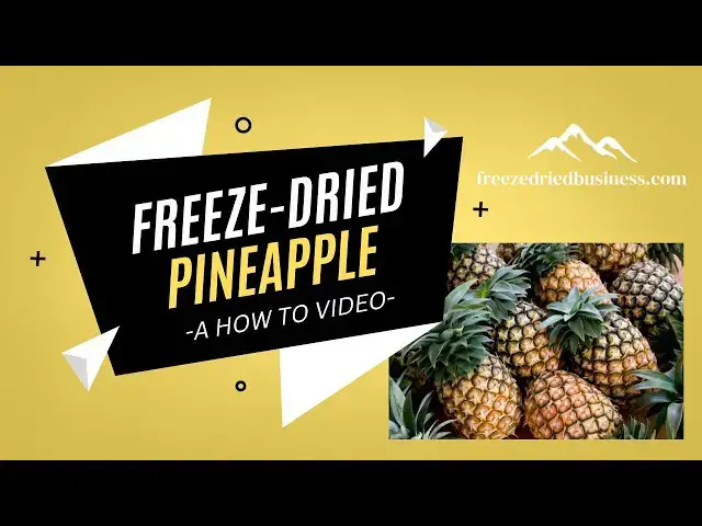 'Video thumbnail for Freeze Dried Pineapple - How to Freeze-Dry Pineapple Using a Harvest Right Freeze Dryer'