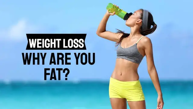 'Video thumbnail for WHY ARE YOU FAT?'