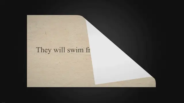 'Video thumbnail for Can Bichon Frise Dogs Swim'