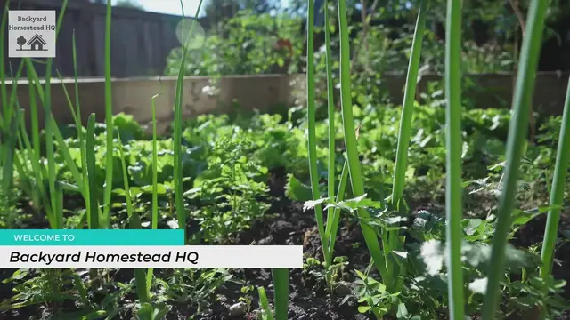 'Video thumbnail for Welcome to Backyard Homestead HQ'