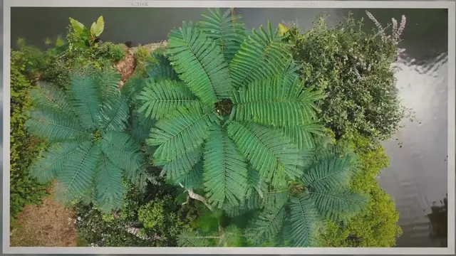 'Video thumbnail for Sunder Nursery, New Delhi India'