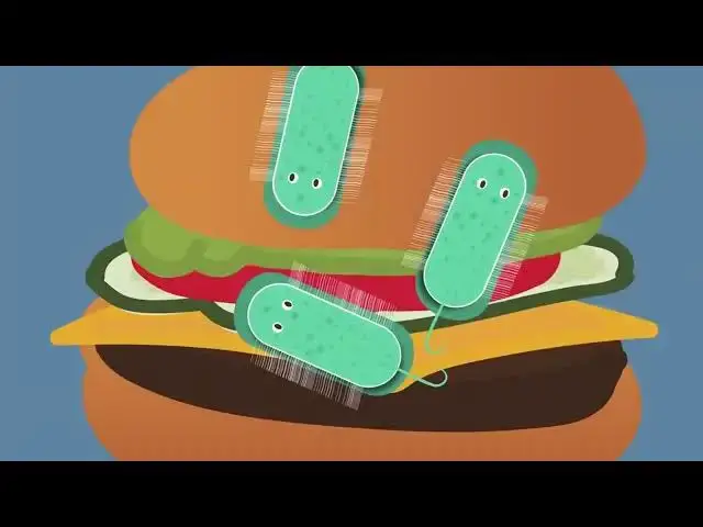'Video thumbnail for How does the Stomach Function'