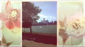 'Video thumbnail for Chicago the day before BlogHer13 - Sheri Ann Richerson ExperimentalHomesteader.com'