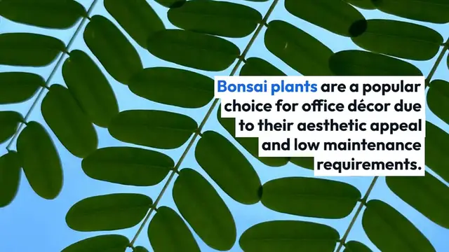 'Video thumbnail for Best Bonsai Plants for the Office'