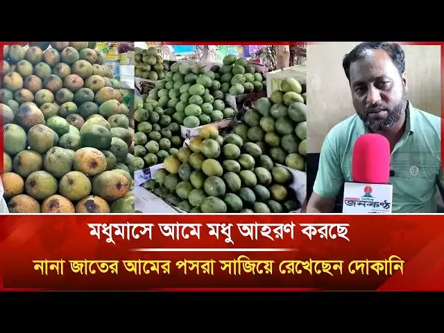 'Video thumbnail for মধুমাসে আমে মধু আহরণ করছে, নানা জাতের আমের পসরা সাজিয়ে রেখেছেন দোকানি'