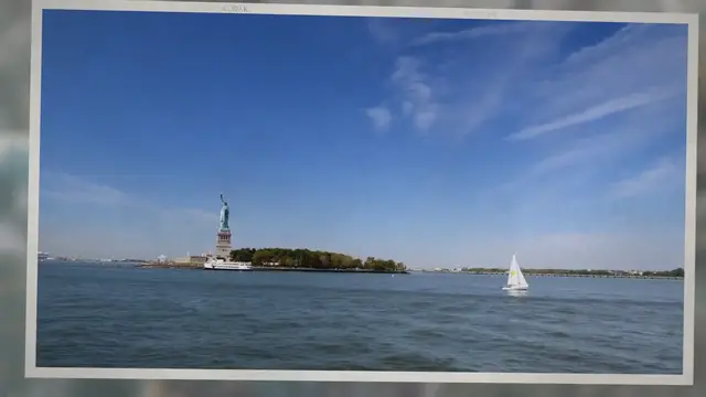 'Video thumbnail for Immigrant Types - Social and Cultural History'