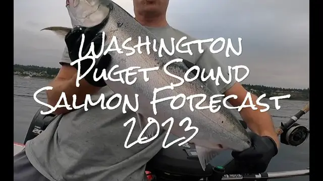 'Video thumbnail for 2023 Salmon Forecasts for Washington and Puget Sound'