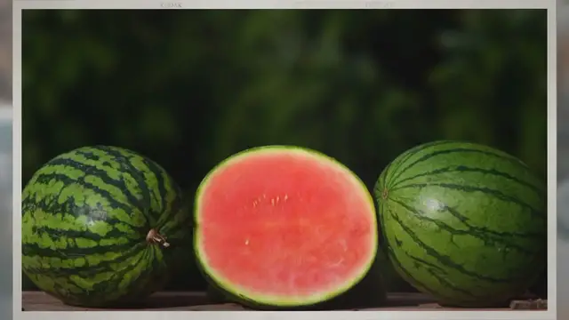 'Video thumbnail for Do Watermelons Ripen After Picking Them off the Vine?'